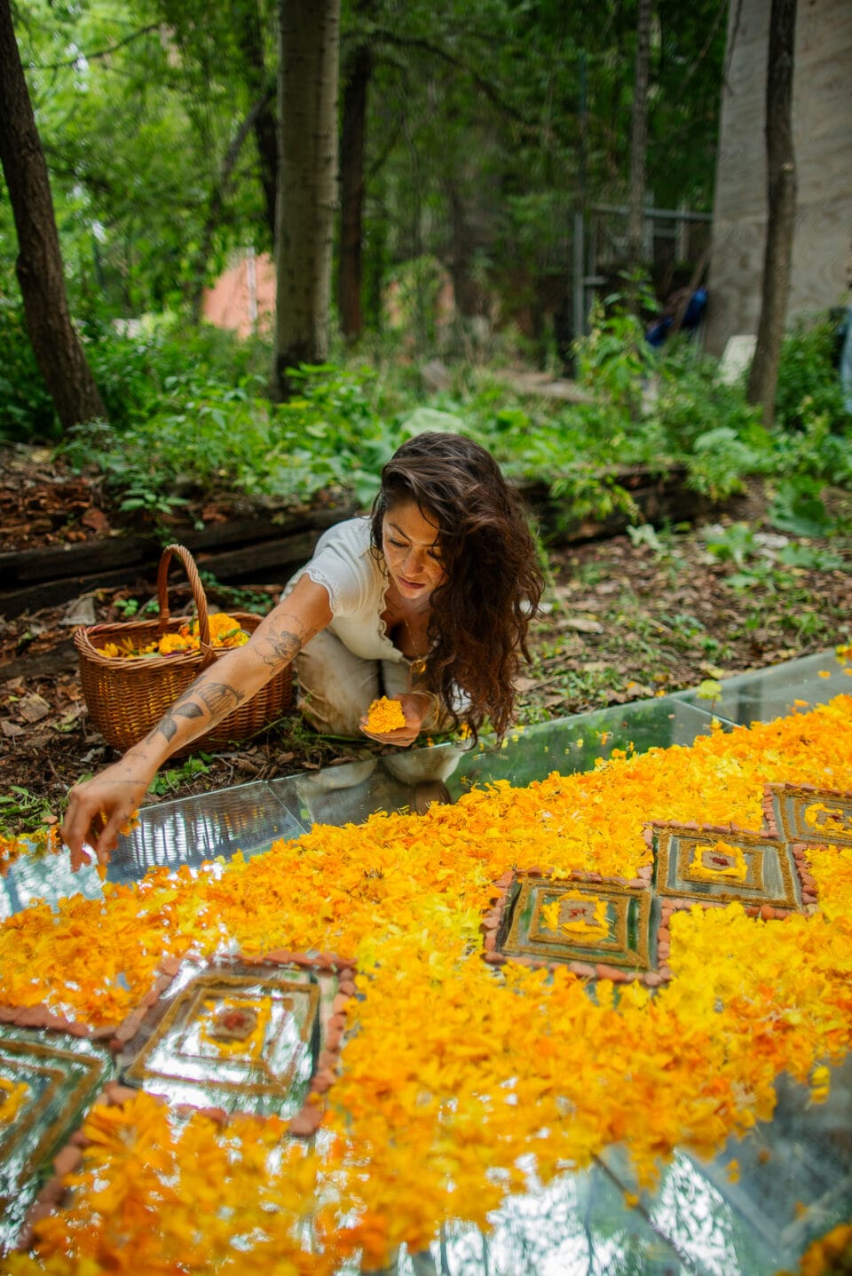 artist Cyrah Dardas making natural pigment with yellow flowers