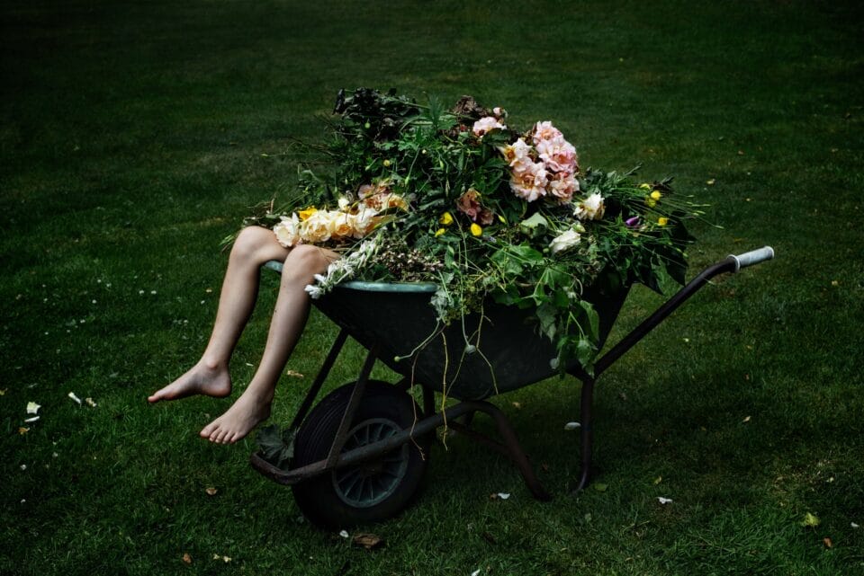 a photo of a person laying in a wheelbarrow covered by flowers