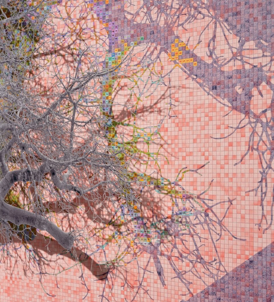 a detail of a grayscale tree layered atop a pink and purple numbered grid with a shadow of a tree printed on it