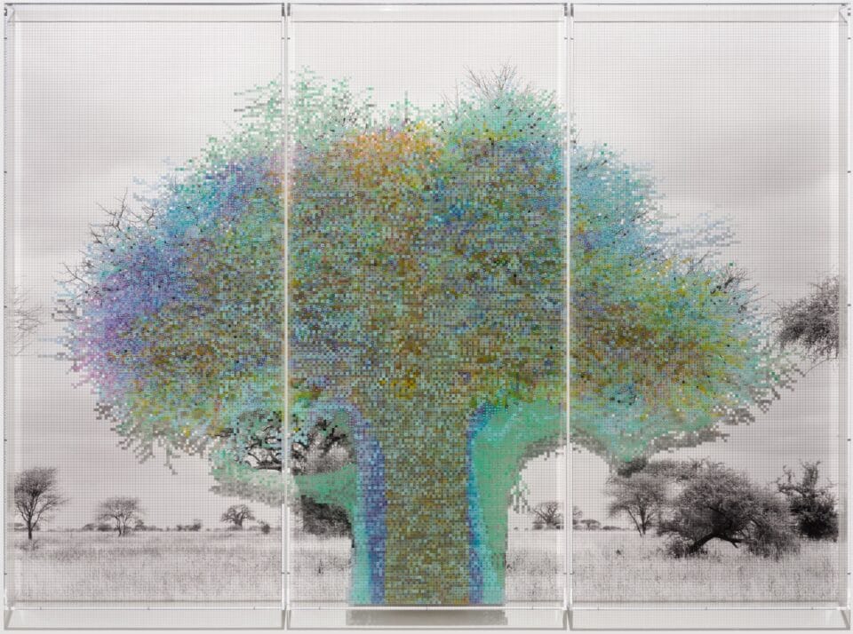 a grayscale tree layered atop a blue, purple, and green numbered grid with a shadow of a tree printed on it. a plexiglass layer sits atop it all