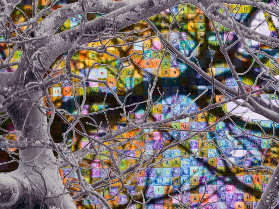 a detail of a grayscale tree layered atop a colorful numbered grid