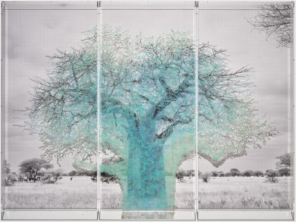 a grayscale tree layered atop a blue numbered grid with a shadow of a tree printed on it. a plexiglass layer sits atop it all