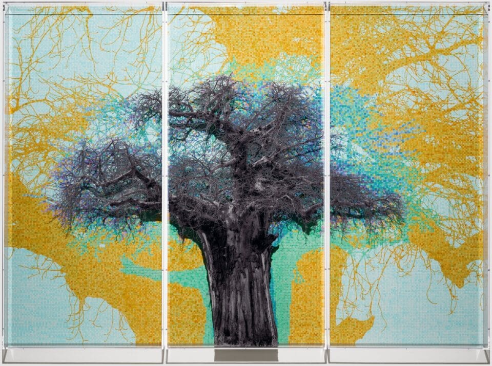 a grayscale tree layered atop a yellow and blue numbered grid with a shadow of a tree printed on it. a plexiglass layer sits atop it all