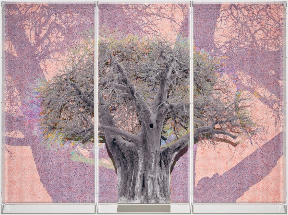 a grayscale tree layered atop a pink and purple numbered grid with a shadow of a tree printed on it. a plexiglass layer sits atop it all