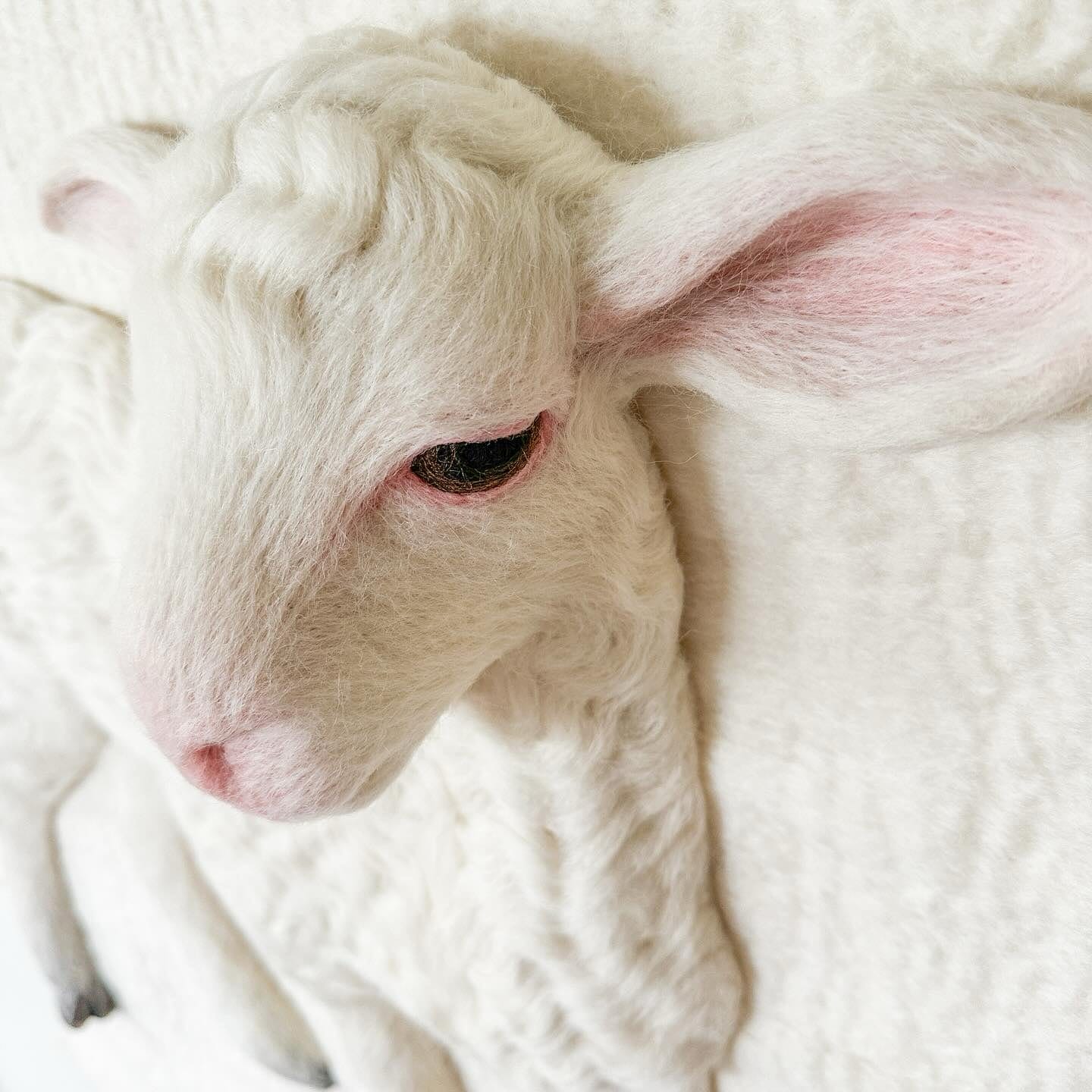 A Pair of Fluffy Felted Lambs by Holly Guertin Spring to Life in a Wooly Pasture