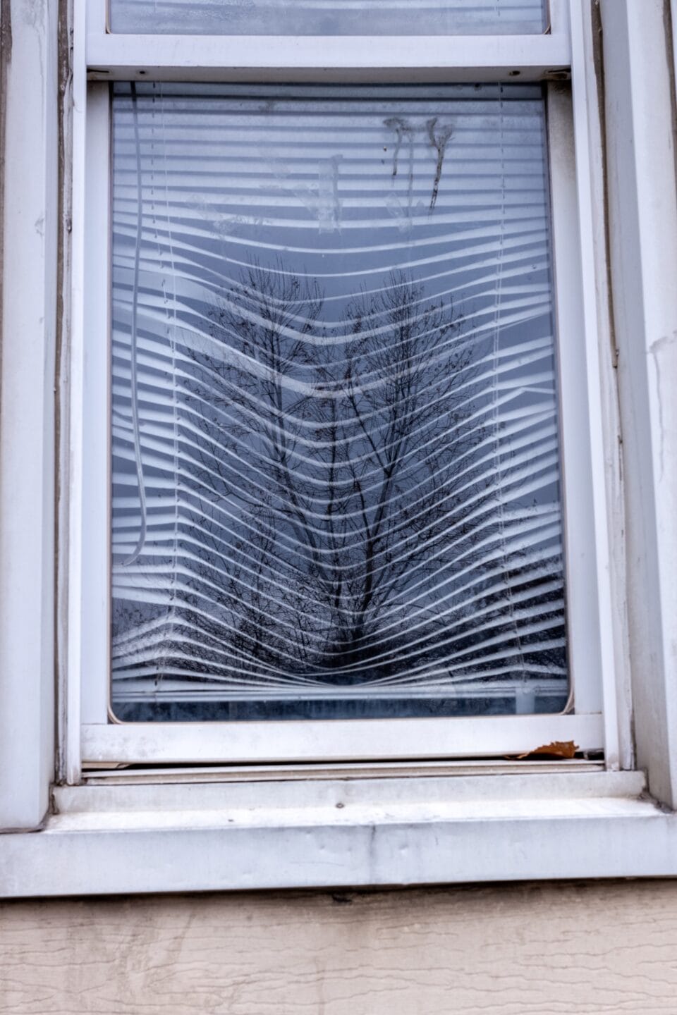 a photograph of a window with blinds inside, with the reflection of a tree that mimics the way the blinds appear to be pulled down and bent