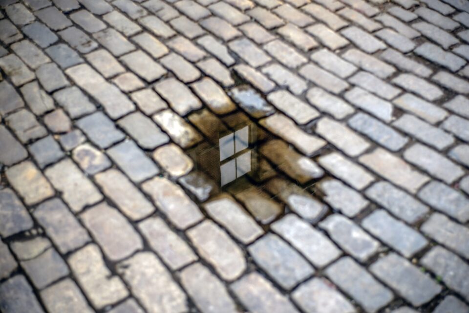 a photograph of a brick street with a small puddle in the middle of the image, with a window reflected in the water