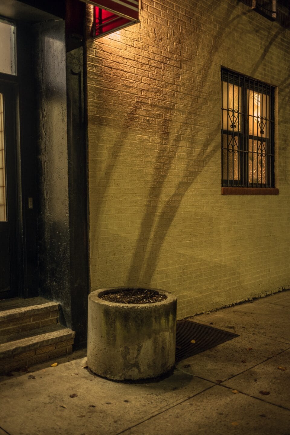 a vertical photograph of a shadow of a tree that appears to be growing out of an empty planter