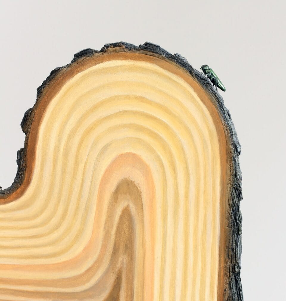 a detail of a sculptural chair that looks as though it has been carved directly out of the middle of a tree, with bark on the back, and a small beetle crawling along the edge