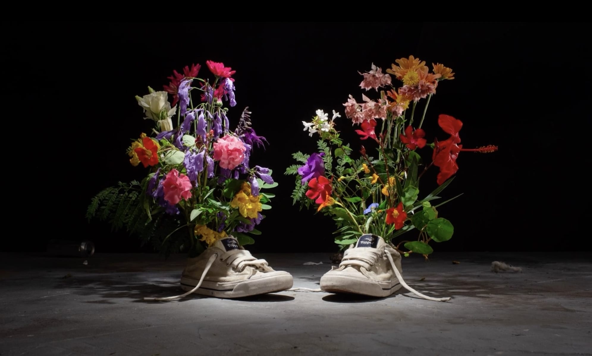 a still from an animated short of two canvas sneakers with flowers blossoming out of them, set against a black background