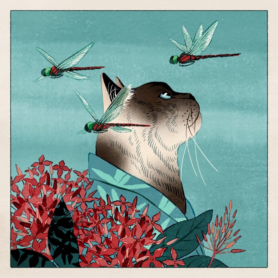 an illustration of a cat in profile, wearing a kimono, looking up at three dragonflies as they fly over a red flowering plant