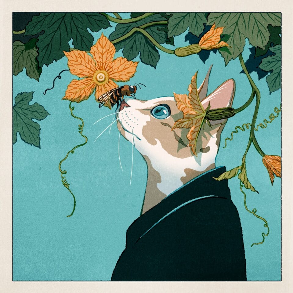 an illustration of a calico cat with a bee on its nose, standing under a flowering squash plant