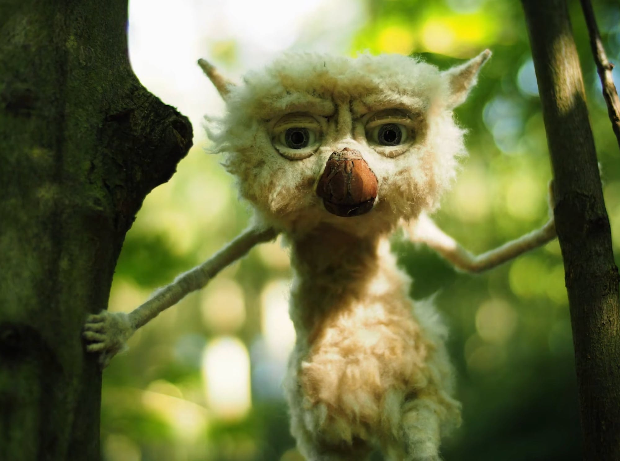 a video still of a felted woodland creature in between trees